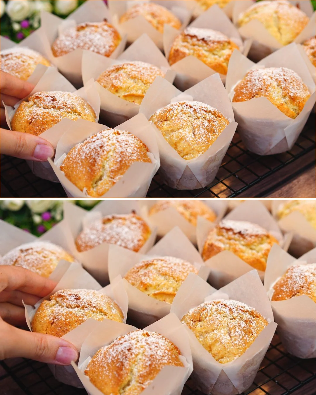 Delicious homemade apple muffins baked to perfection with cinnamon and diced apples