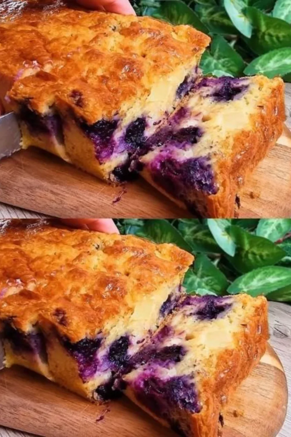 Delicious diet cake made with oatmeal, apple, yogurt, and blueberries.
