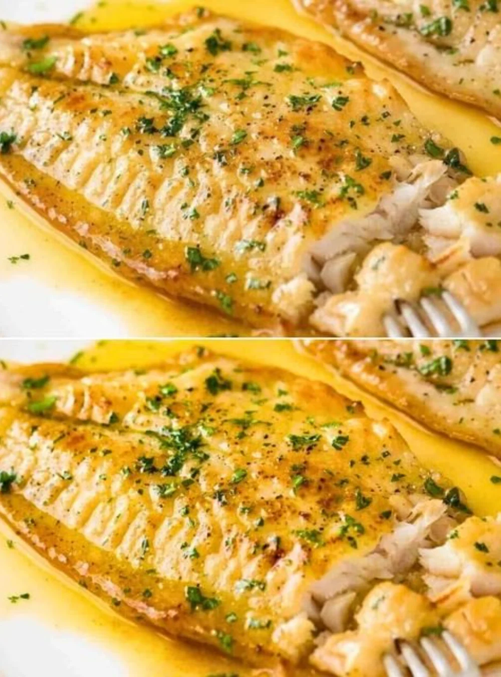 Quick and easy fish fillet recipe prepared in minutes