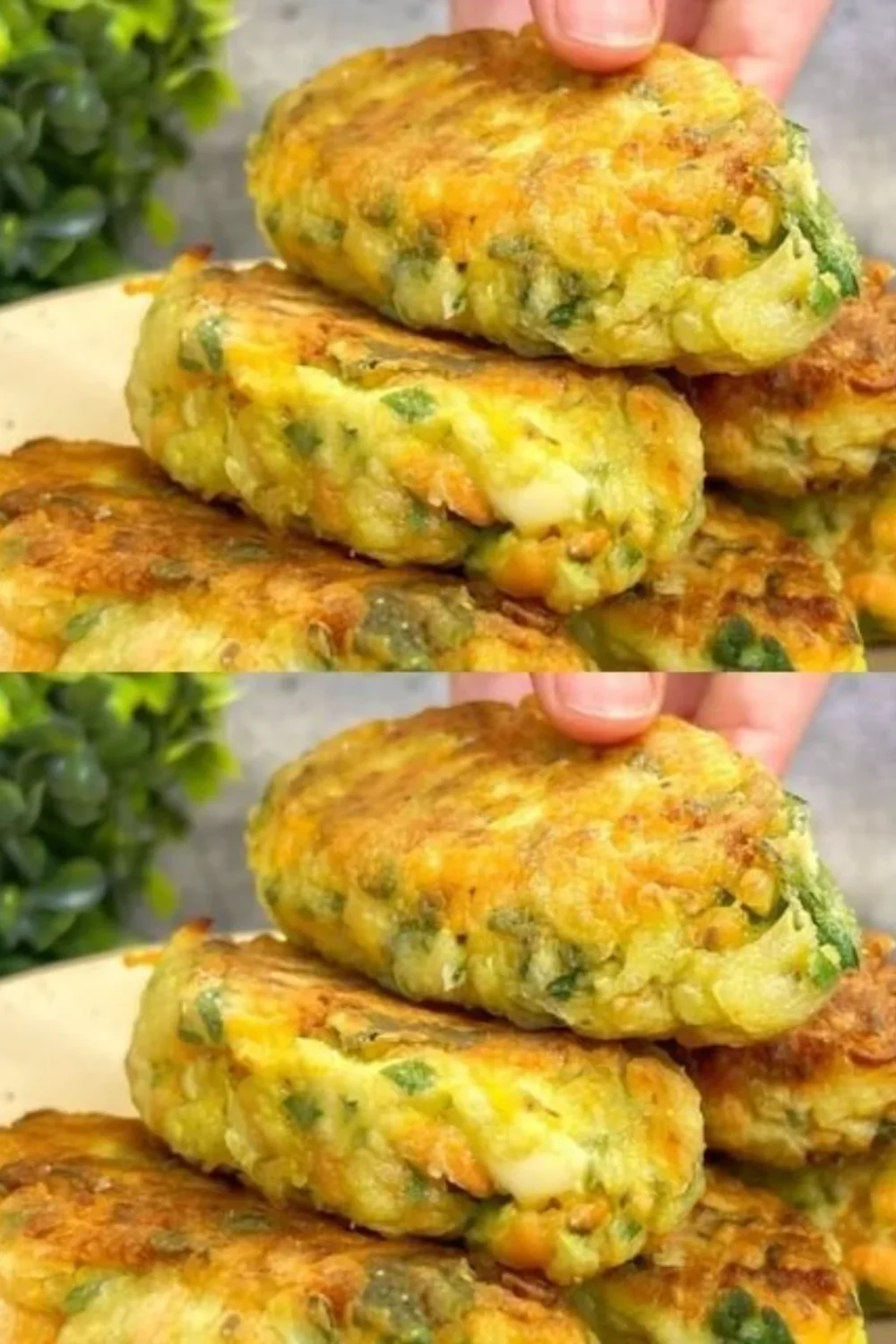 Deliciously baked zucchini with cheese served on a plate