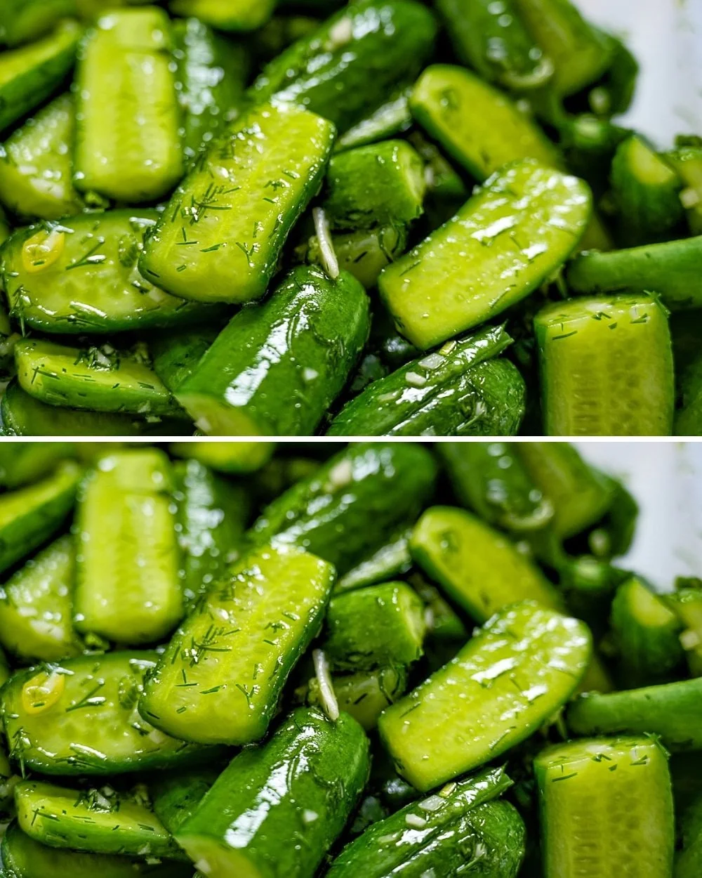 Homemade pickled cucumbers in a glass jar with spices and garlic