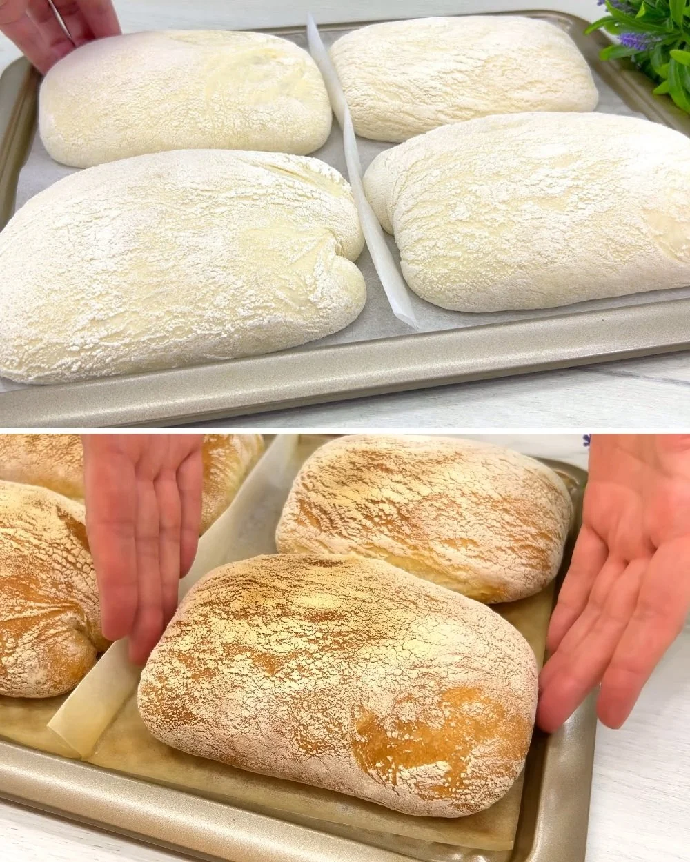 Freshly baked Italian bread on a wooden table