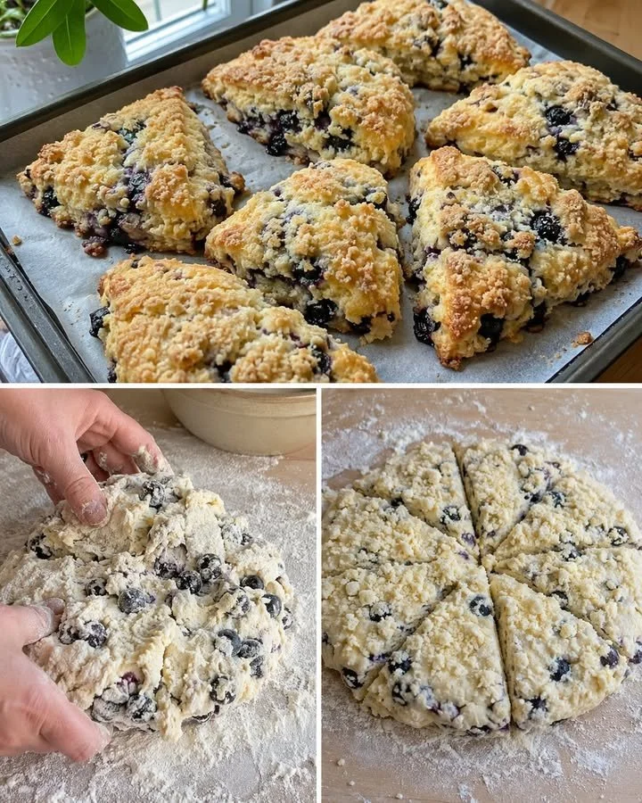 Freshly baked blueberry scones with a crunchy crumb topping